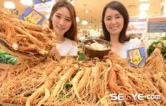 롯데마트 청주점 풍기인삼농협 | [포토] "롯데마트, 6년근 햇 인삼 저렴하게 맛보세요"