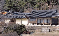 [김성회의 뿌리를 찾아서]  윤씨·파평윤씨