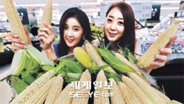 “강원도 찰옥수수 왔어요”