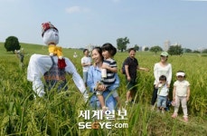 “허수아비가 신기해요”