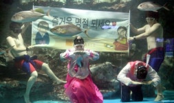 63씨월드, ‘2013 수중 천하장사 씨름대회’ 론칭!
