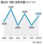 ‘가을철 별미’ 대하 풍년이오∼