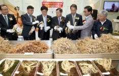 2013 대한민국 우수인삼 선발대회 및 인삼직거래 행사