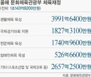 비인기·장애인 체육 지원 상대적 감소