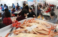 동해안 대표 수산물, 한 상 가득 펼쳐지다