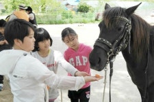[S 스토리] 시골 초미니학교, 웃음꽃이 피었네