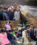 [포토] 상암산 유아숲 체험장 어린이들 생태체험