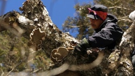겨울옷 벗고 봄맞이 분주한 지리산 산사나이