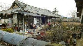 옛정이 파릇파릇 솟아나는 고택의 봄맞이