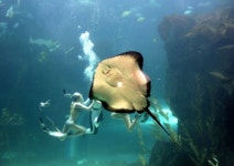 수족관과 동물원이 함께 있네