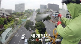 ‘천년향’ 봄 목욕