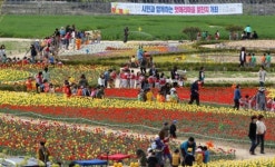 친환경 녹색도시 포항, ‘역발상에서 시작’