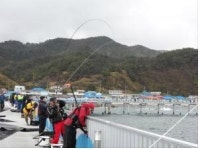 경북 울진에 해상낚시공원 개장된다