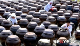 [포토] 된장 익어가는 송광친환경된장마을