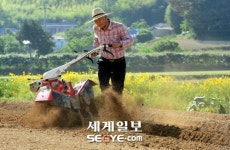 탈만 있으면 웃음·해학 춤판…고성오광대