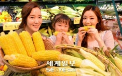“초당 옥수수 싸게 사세요”
