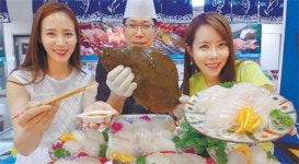 “제주 활광어회 싸게 팔아요”