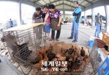 마량 5일장 여전히 사람 살아가는 맛 나제