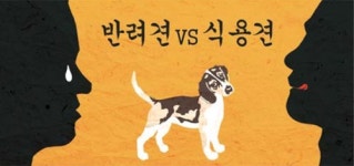 [S 스토리] ‘伏’··· 개를 바라보는 두 시선