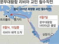 리비아 체류 국민 철수 지원… 문무대왕함 급파