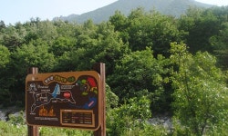 강원도 고성군 향도원 산림치유마을, 힐링 관광지로 급부상