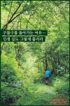 [여행] ‘명승’ 지정된 양양~홍천 구룡령 옛길