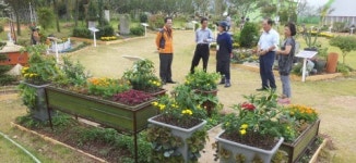 한 평 정원 이어… 도심속 한 평 텃밭 인기