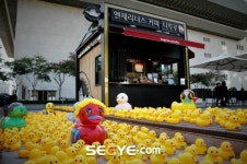 [포토] 해피덕, 강에서 레이스 펼친다