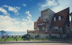 안면도 메이비 스파펜션과 함께 즐기는 태안축제