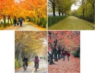 ‘멀리 갈 거 있나요’…서울 속 ‘단풍길’ 94곳 공개