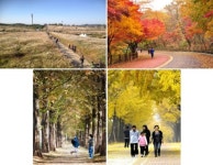 ‘멀리 갈 거 있나요’…서울 속 ‘단풍길’ 94곳 공개