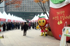 서울시민과 함께하는 2014 청송사과축제 한마당