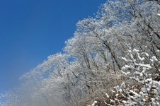 [여행] 소박한 산사…고요해지는 마음