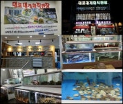 겨울엔 ‘대게’ 맛보자! 강원도 속초맛집 대포대게회직판장