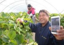 스마트폰 농사 첫 결실-세종시 SK창조마을 1단계 완공