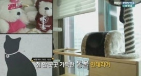 씨스타 쇼타임 효린 집 공개, 동물 모양 가득한 가구들까지...여기가 동물농장