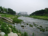 구정물이 1급수로… 20곳 수질 분석해보니