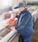 [단독] 끊이지 않는 AI·구제역… 실적 위주 방역활동에 ‘메스’