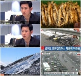 [핫 키워드] 남극 멜버른화산 활동 관측·인삼 보관법·용암대지 형성과정·박창진 사무장·어린이집 보육교사 구속 영장