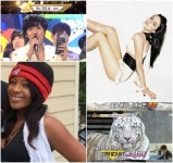 [핫 키워드] 인기가요 정용화, 동물농장 김상중, 엠버 허드 조니 뎁, 휘트니 휴스턴 딸