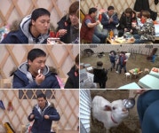 OK목장 사상 최초 동물과 함께한 조재윤의 총각 파티