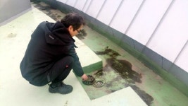 개관 1년도 안됐는데… 공연 중 빗물 ‘뚝뚝’