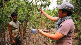 EBS1 ‘세계테마기행’   인도양의 찬란한 빛, 스리랑카