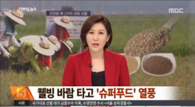 뇌 건강 돕는 슈퍼푸드, 연어는 OK 참치는 NO 반전