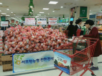 포항시 친환경인증 사과 전국 롯데마트에서 맛보세요