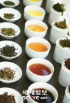 티(Tea) 소믈리에를 아시나요?