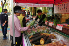 우리 숲에서 자란 제철 봄나물 큰 잔치