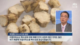 내츄럴엔도텍, 임직원 가짜 백수오 논란 미리알고 주식팔았다? 사과문으로 해명