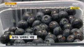 30대 노안 환자 급증, 눈에 좋은 지압법과 함께...블루베리 섭취하자