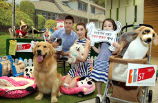 11번가, 반려동물 용품 최대 60% 할인